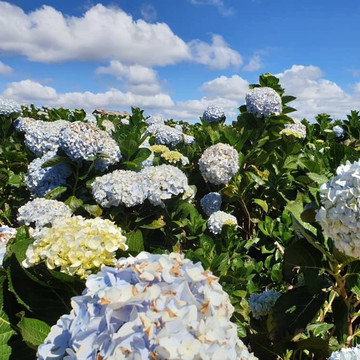 JPTraveltime-岘港必去景点
