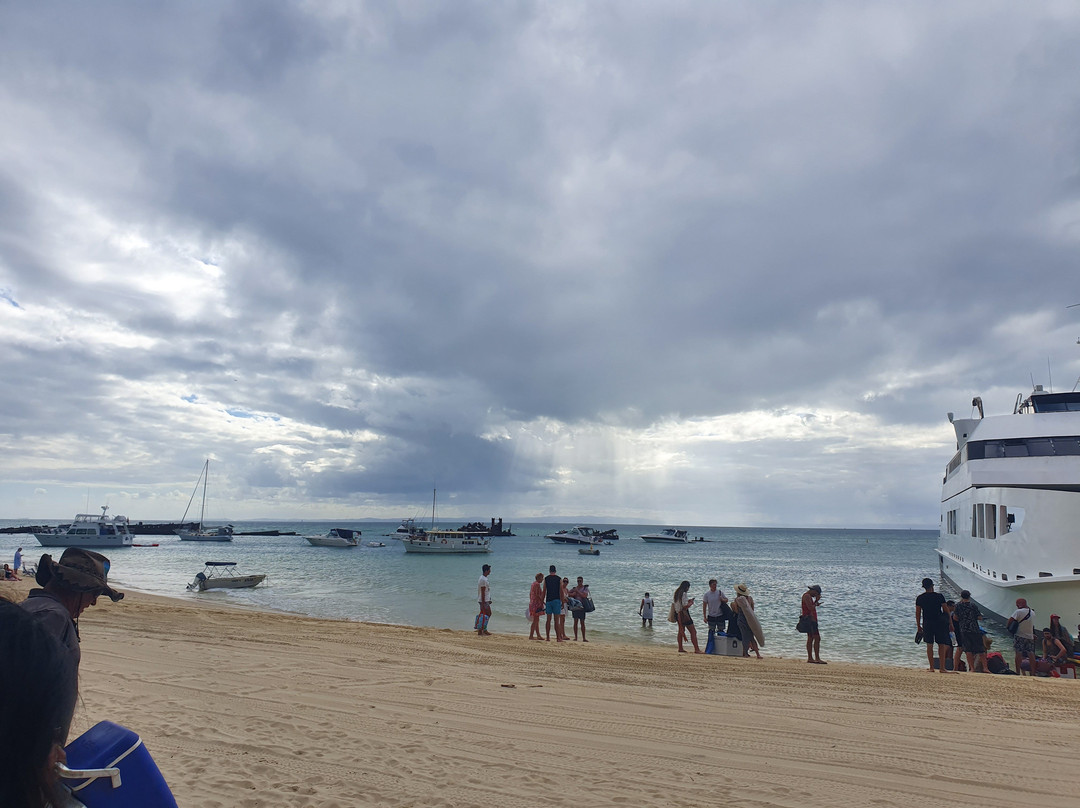 Bushwacker Ecotours-布里斯班必去景点