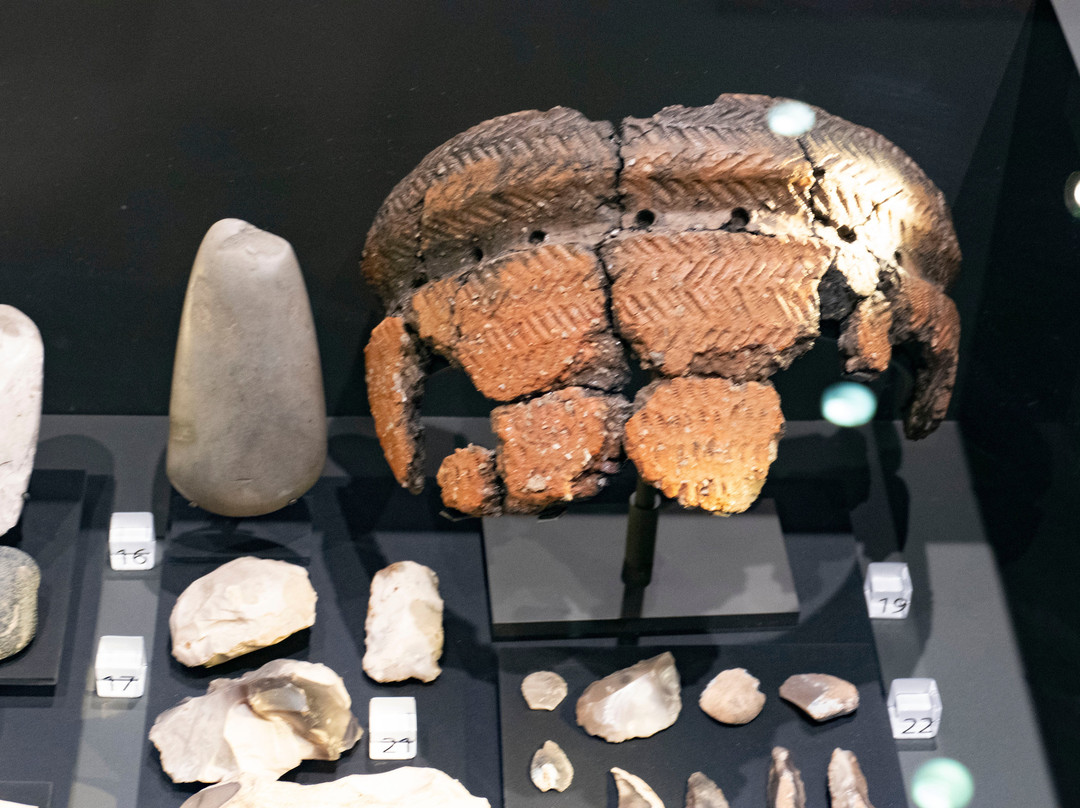 The Salisbury Museum景点图片