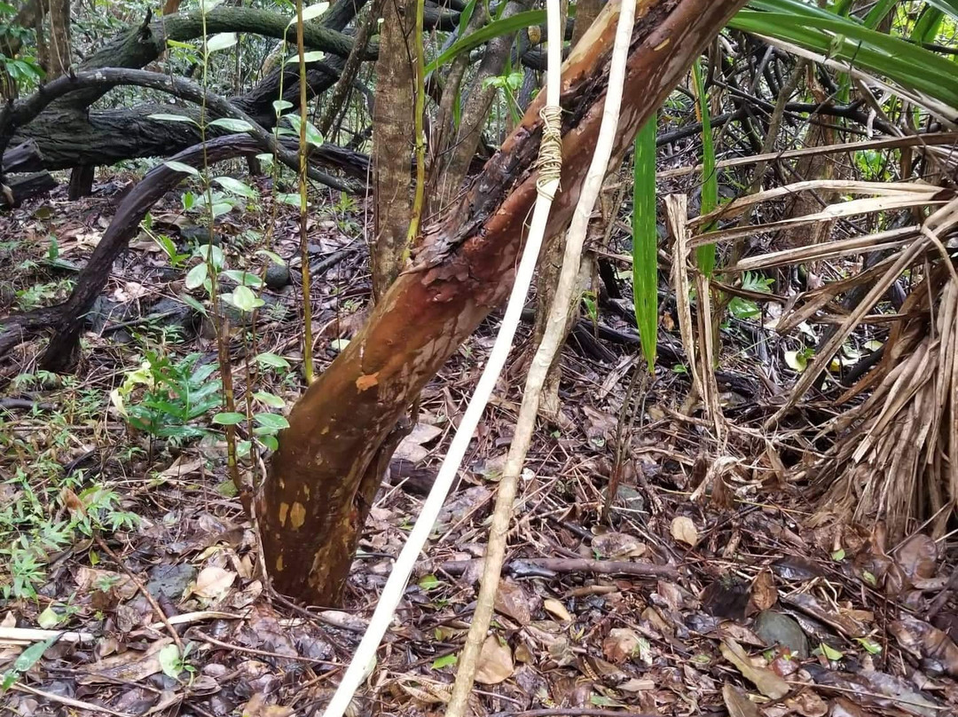 Maʻakua Ridge Trail-哈乌乌拉必去景点