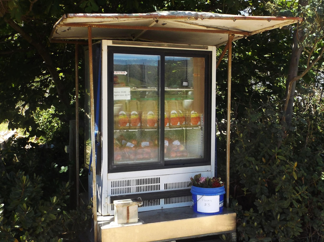 Huon Bikes-Huonville必去景点