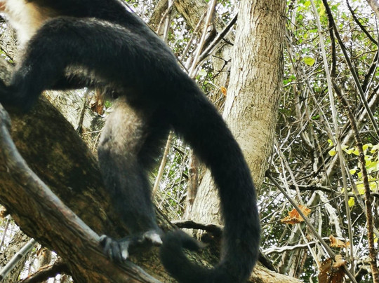 Easy Tours CR- Day Tours-彭塔雷纳斯必去景点