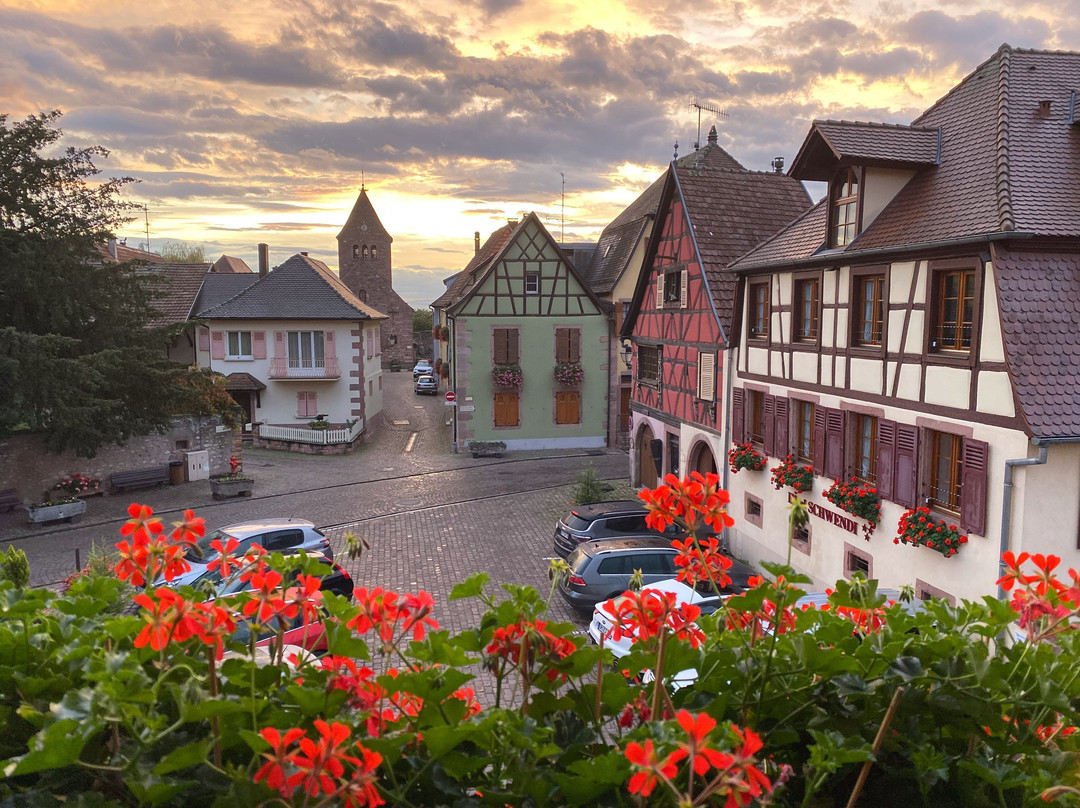 施瓦迪酒店主图