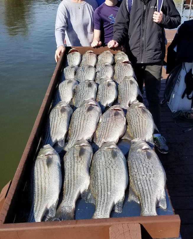 Catch A Trophy Fishing Guide Service - Tours景点图片