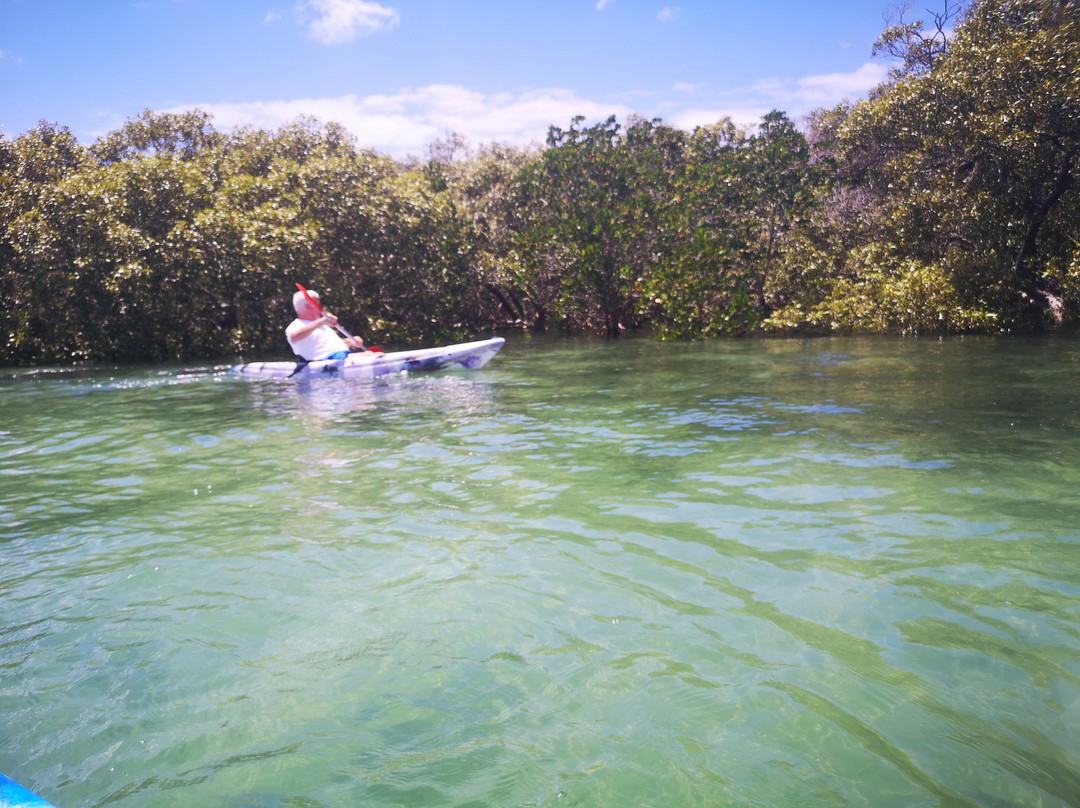 Straddie Adventures-North Stradbroke Island必去景点
