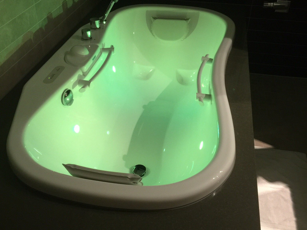 Dorint Thermenhotel Freiburg主图