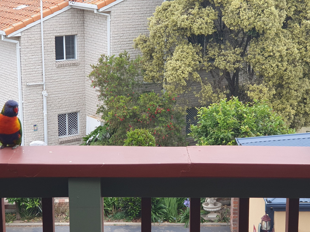 锚阿威床和早餐酒店主图