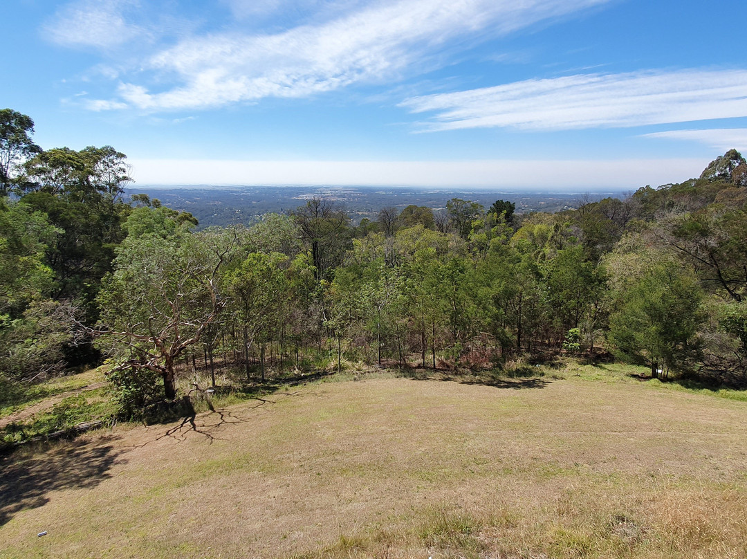 Bellbird Hill Lookout景点图片