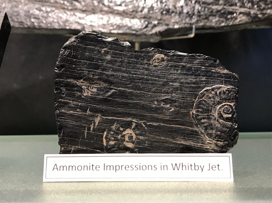 W. Hamond Museum of Whitby Jet景点图片
