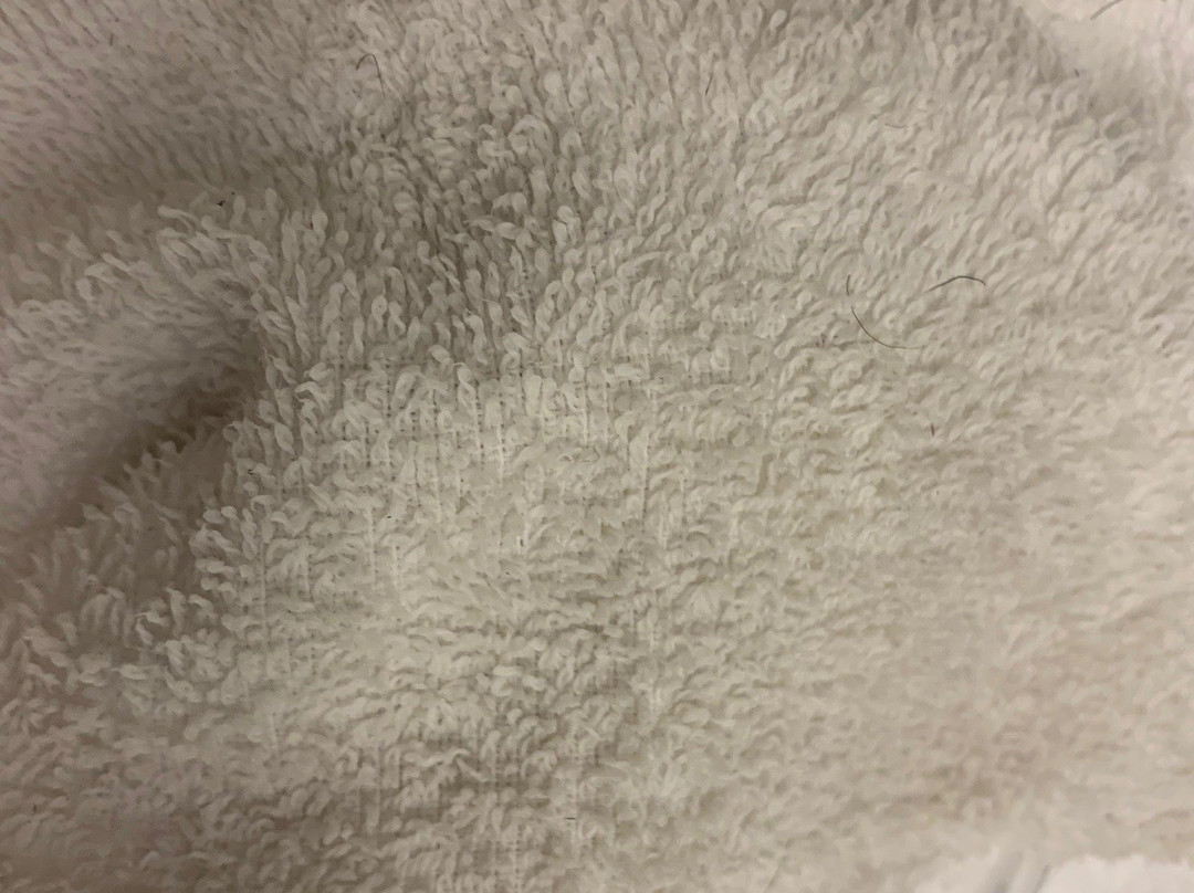 Hampton Inn Somerset主图