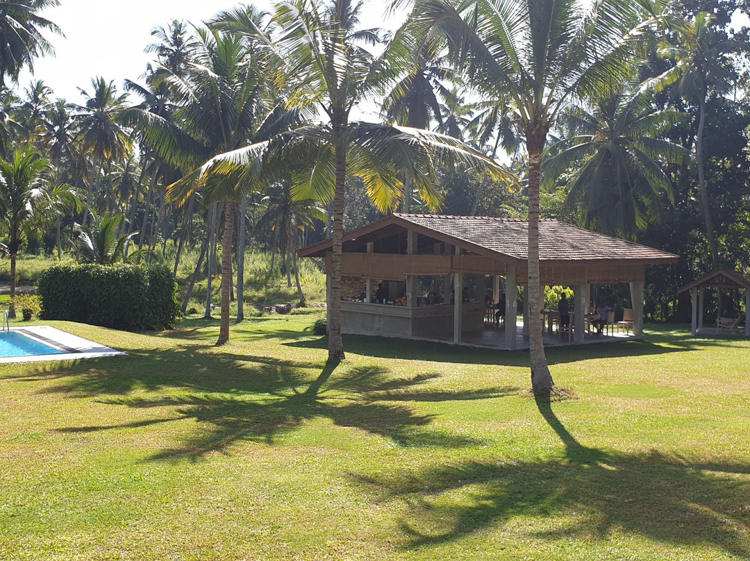 Ambarella Lodge & Spice Garden主图