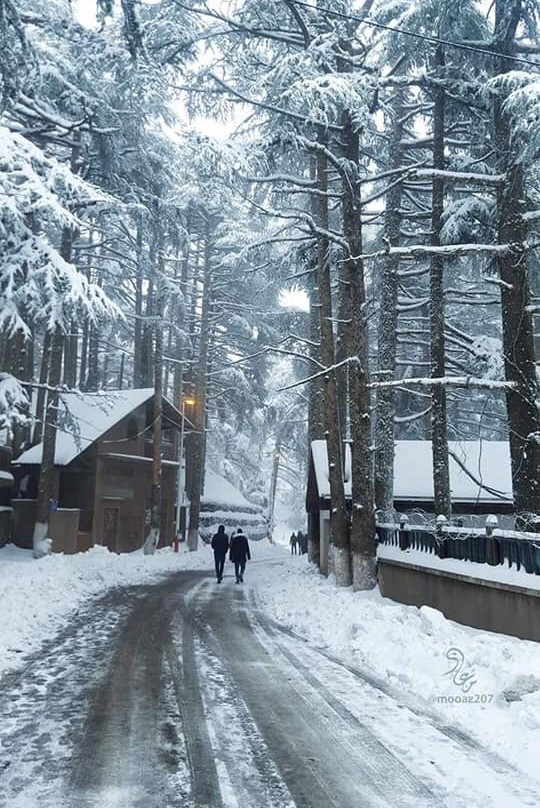 Ski Club景点图片