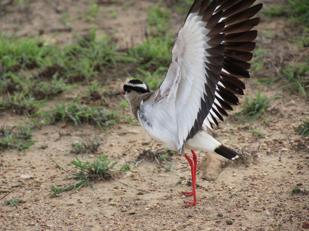 Safaris Partners-莫洛哥罗必去景点