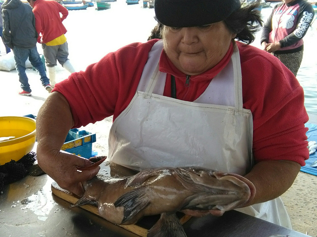 Playa Agua Dulce-Chorrillos必去景点