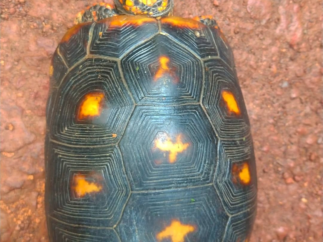 Ilha do Amor-Alter do Chao必去景点