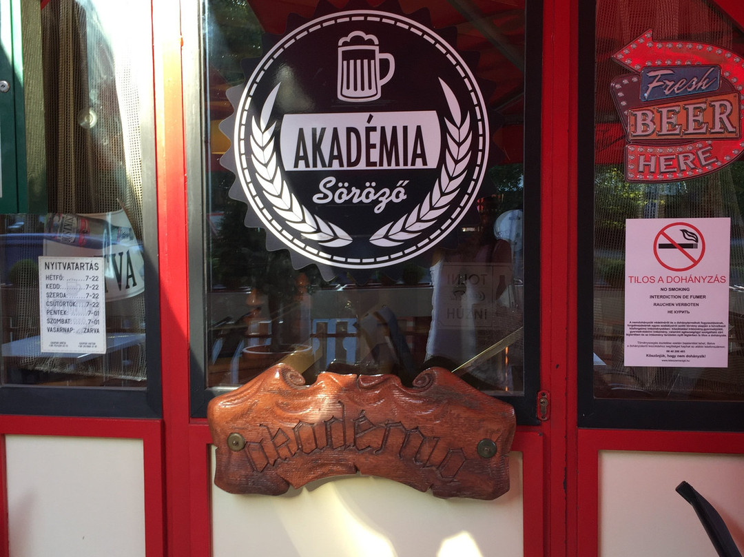 Akademia Sorozo景点图片