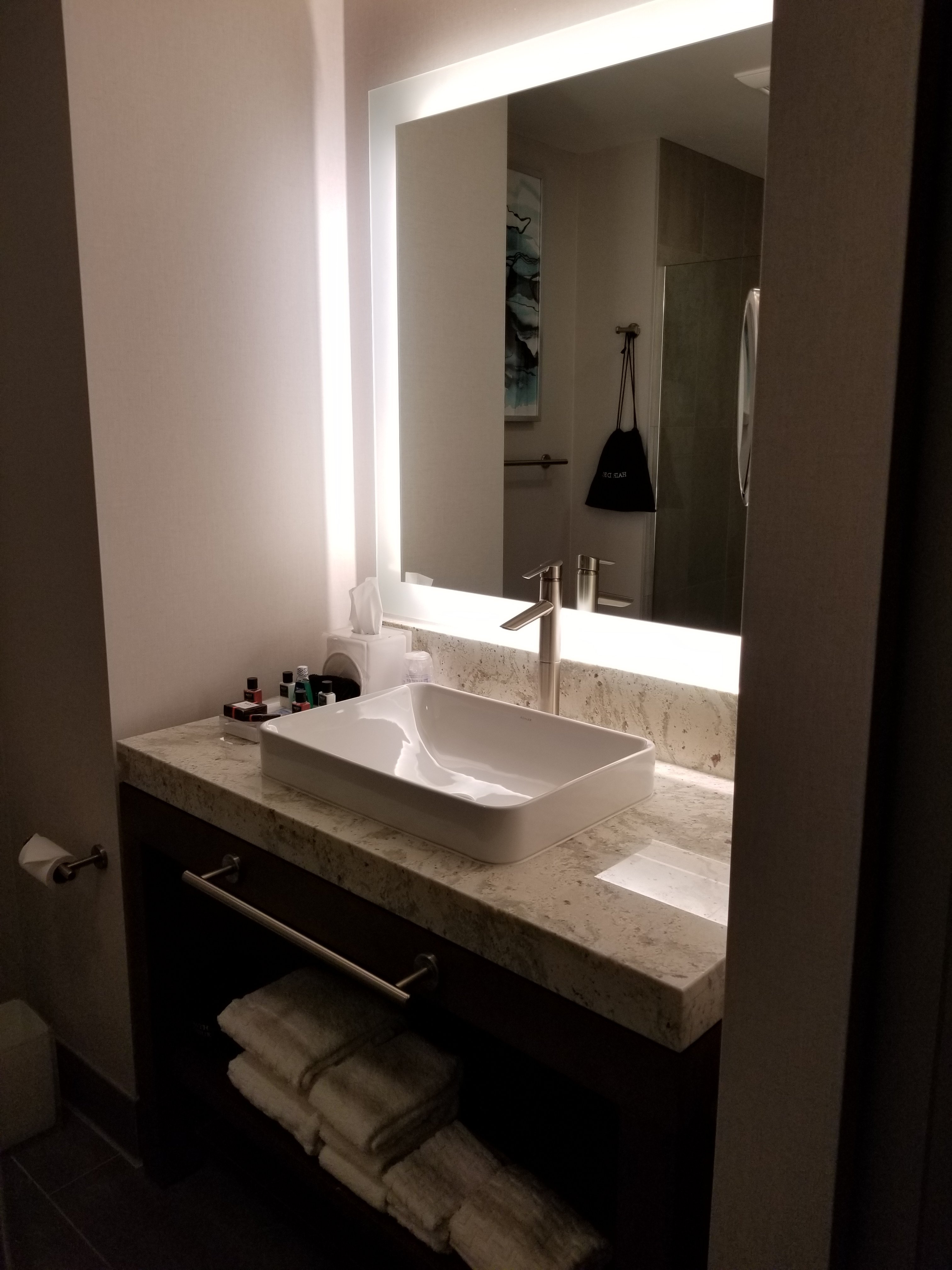 Best Western Premier Hotel at Fisher's Landing-浴室
