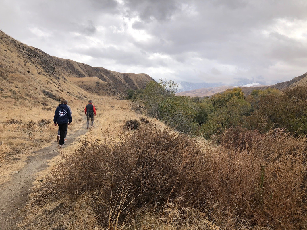 Wind Wolves Preserve-贝克斯菲尔德必去景点