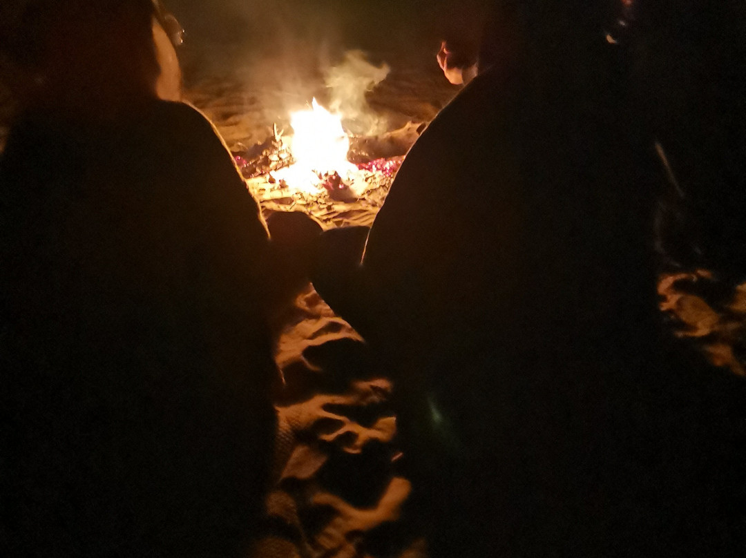 Rumis Camel Safari-杰伊瑟尔梅尔必去景点