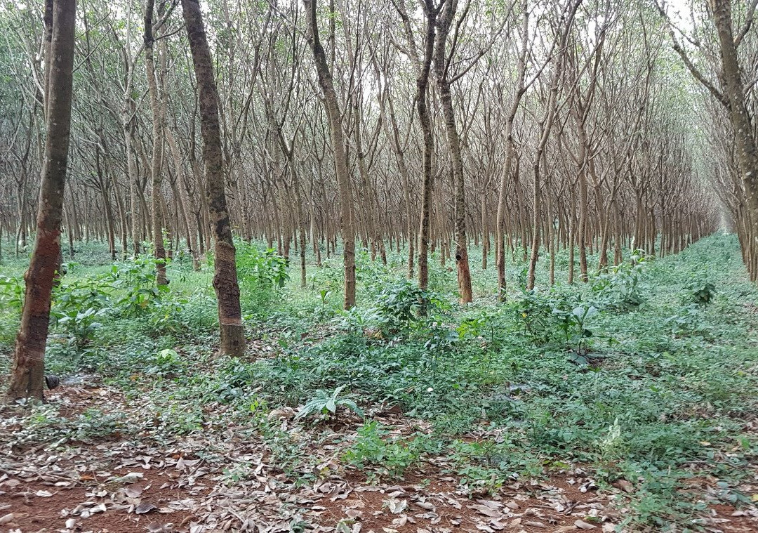 laem Son Beach-玛岛必去景点