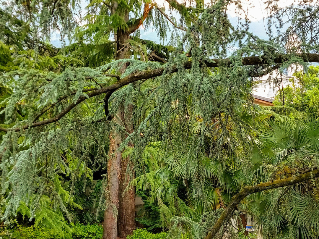 Villa Maria B&B主图