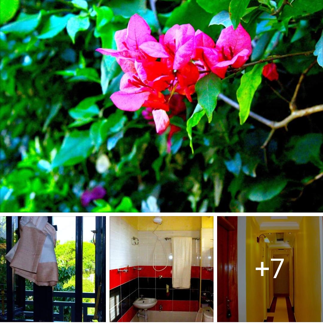 Sura View Hotel Bondo-官方