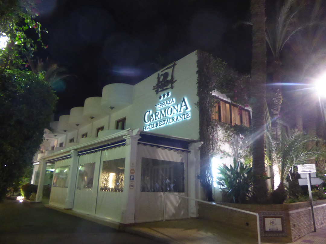 Hotel Terraza Carmona主图