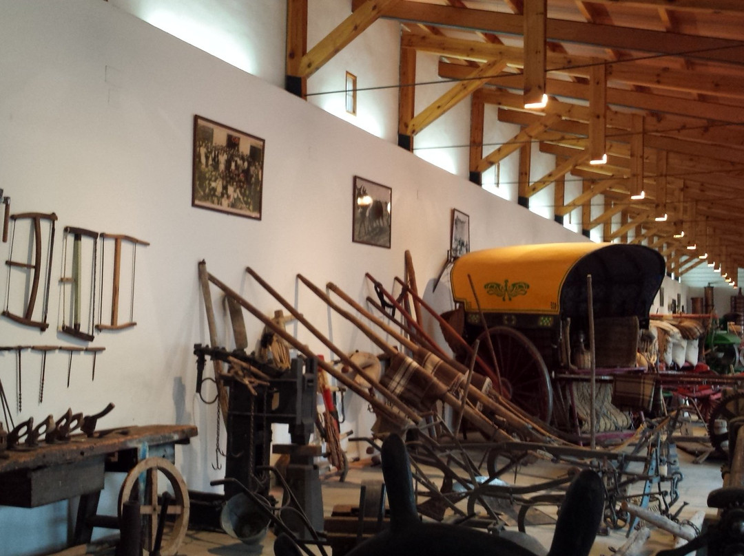 Museo Del Carro Y Aperos De Labranza景点图片