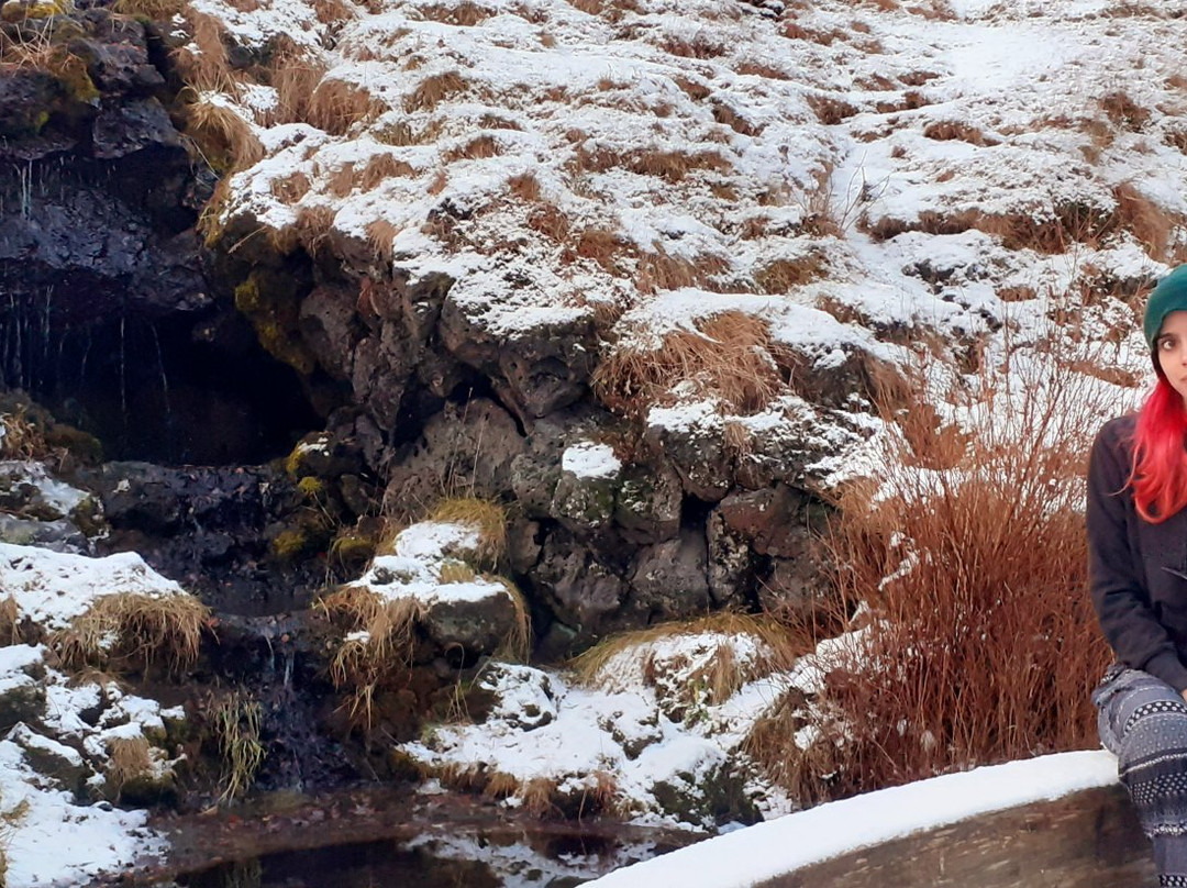 Hellisgerdi Park-哈夫纳夫约杜尔必去景点