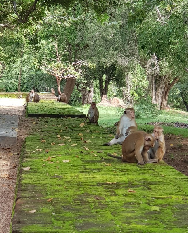 普赖米特中心旅馆主图