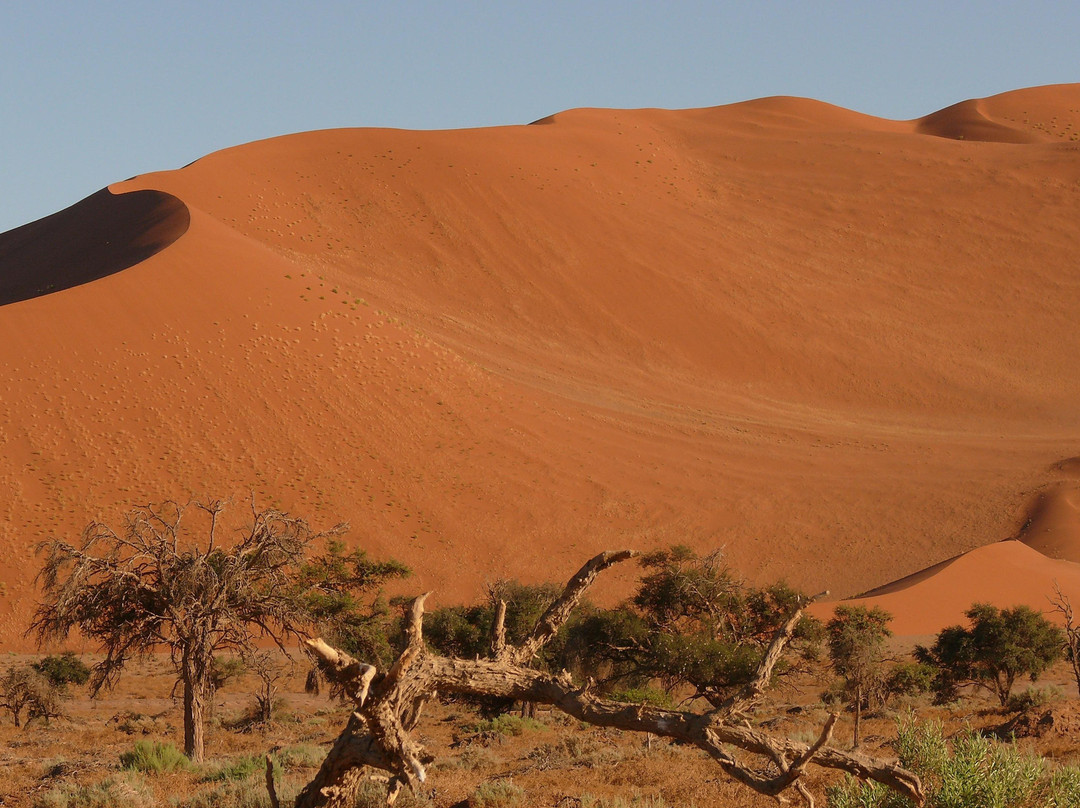 Graffiti Sotto la Lente-开普敦中心区必去景点