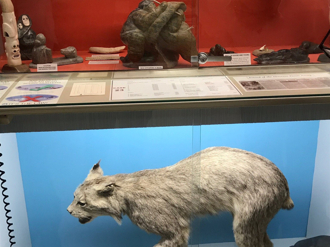 Itsanitaq Museum-丘吉尔必去景点