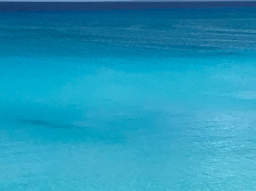 Half Moon Beach-Little San Salvador Island (Half Moon Cay)必去景点