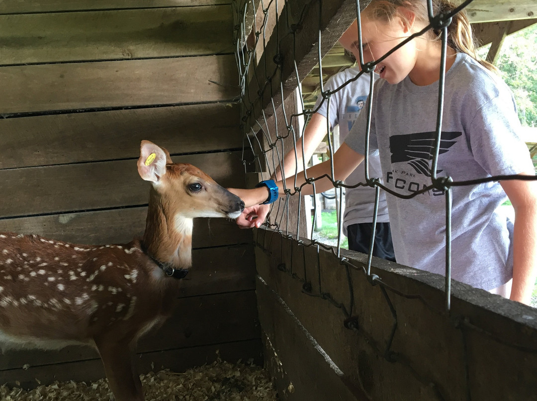 Double Diamond Deer Ranch景点图片