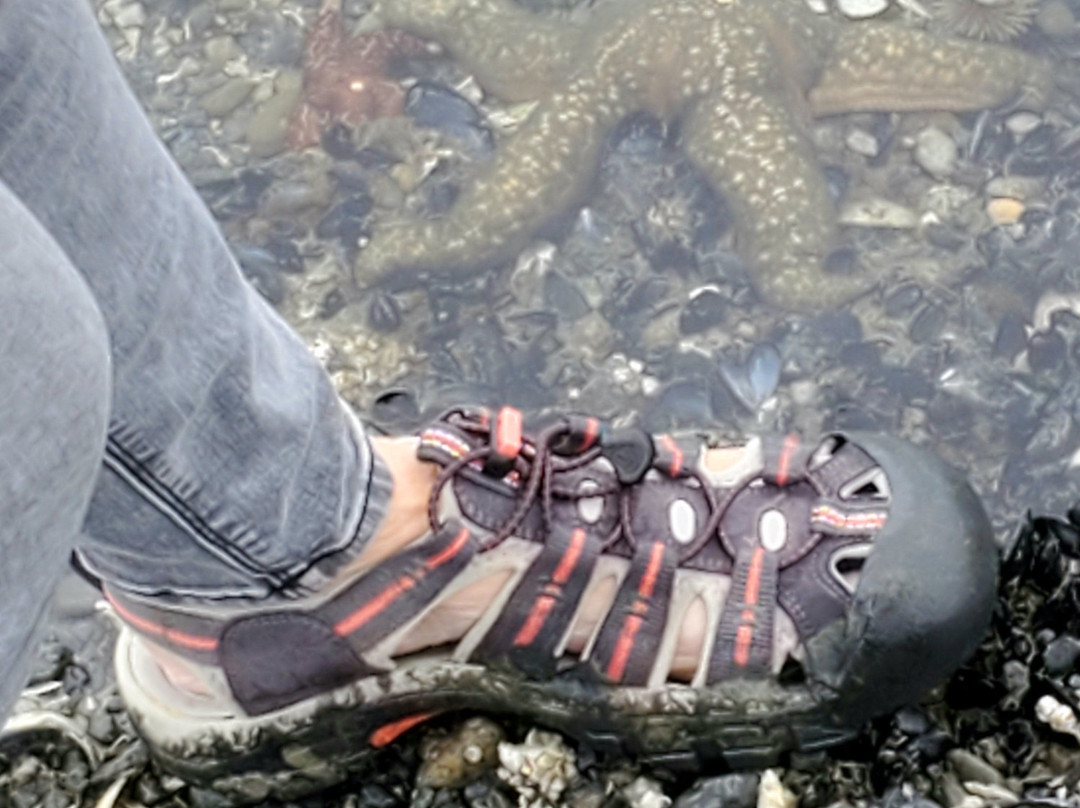 Bartlett Cove-Glacier Bay National Park and Preserve必去景点