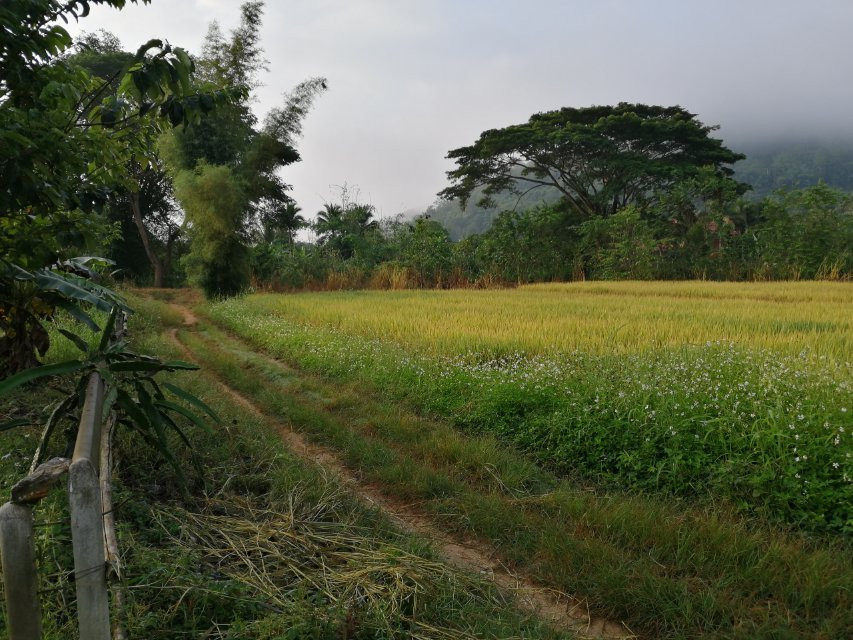 Nai Khun Khao