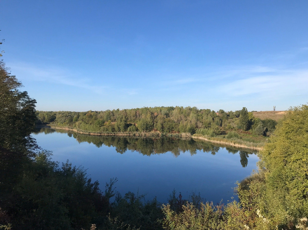 Weilbacher Kiesgruben-Florsheim必去景点
