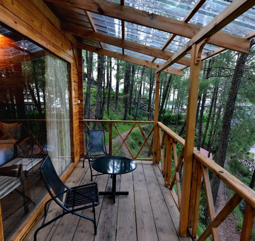 Kasauli Hills Resort主图