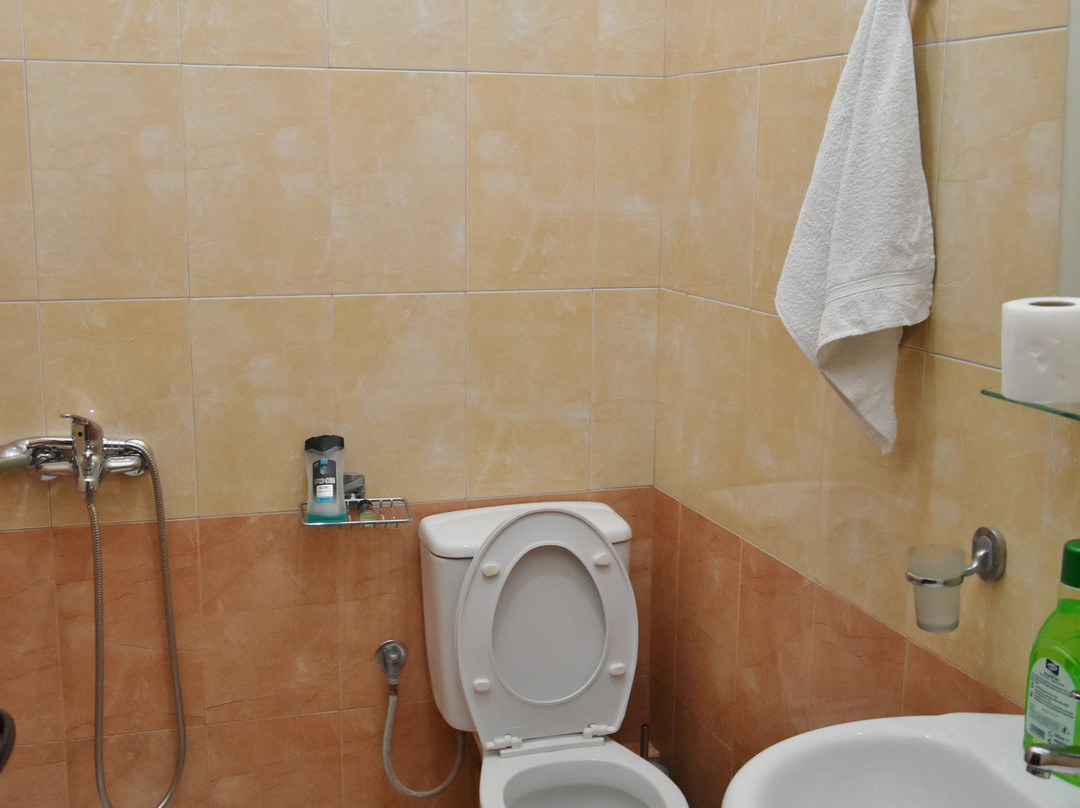 Hotel Restorant Leskoviku主图