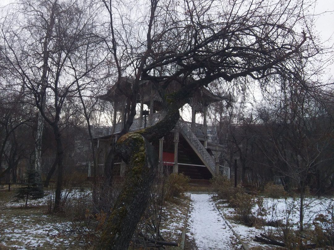 Vladimir Sukachyov's Estate Museum景点图片