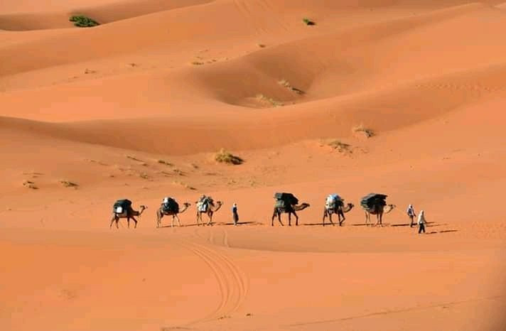 SAHARA ROYAL-扎古拉必去景点