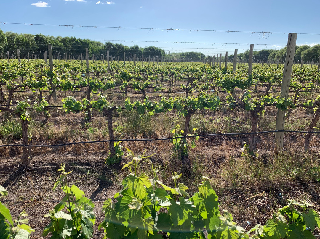 丰市长度假酒店主图