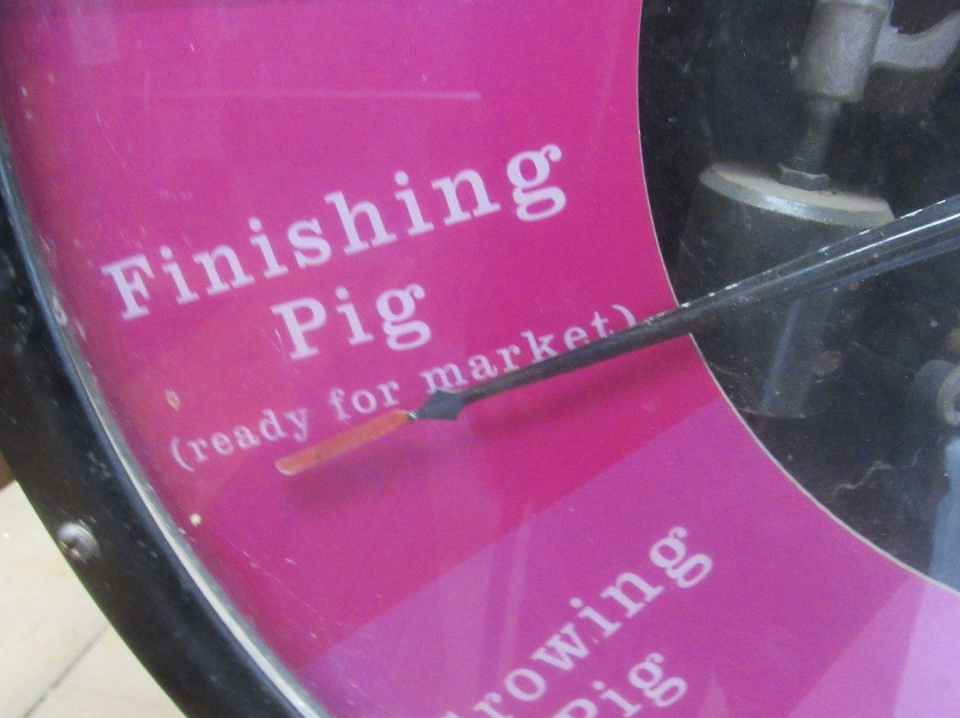 Mass Audubon Drumlin Farm Wildlife Sanctuary-Lincoln必去景点