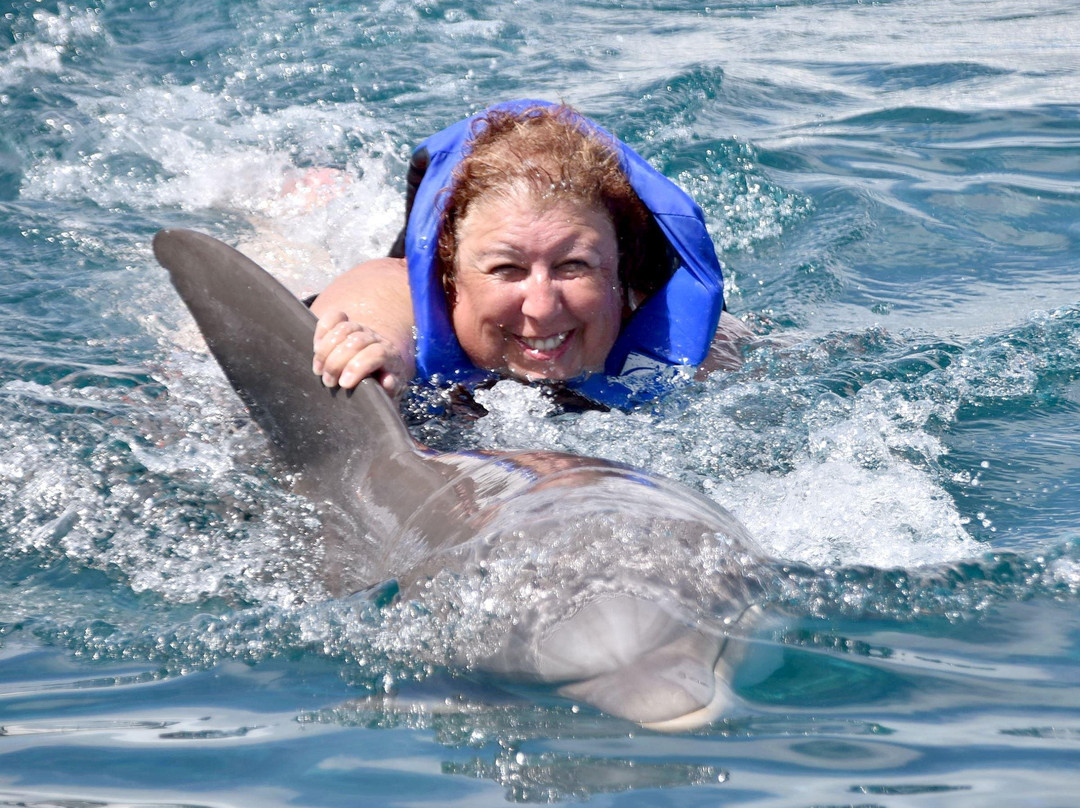 Sea Life Park Animal Encounters-威玛纳诺必去景点