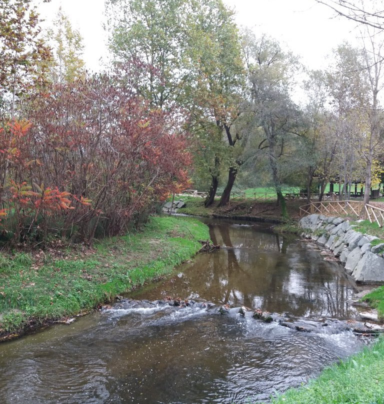 Parco di Brenno-Costa Masnaga必去景点