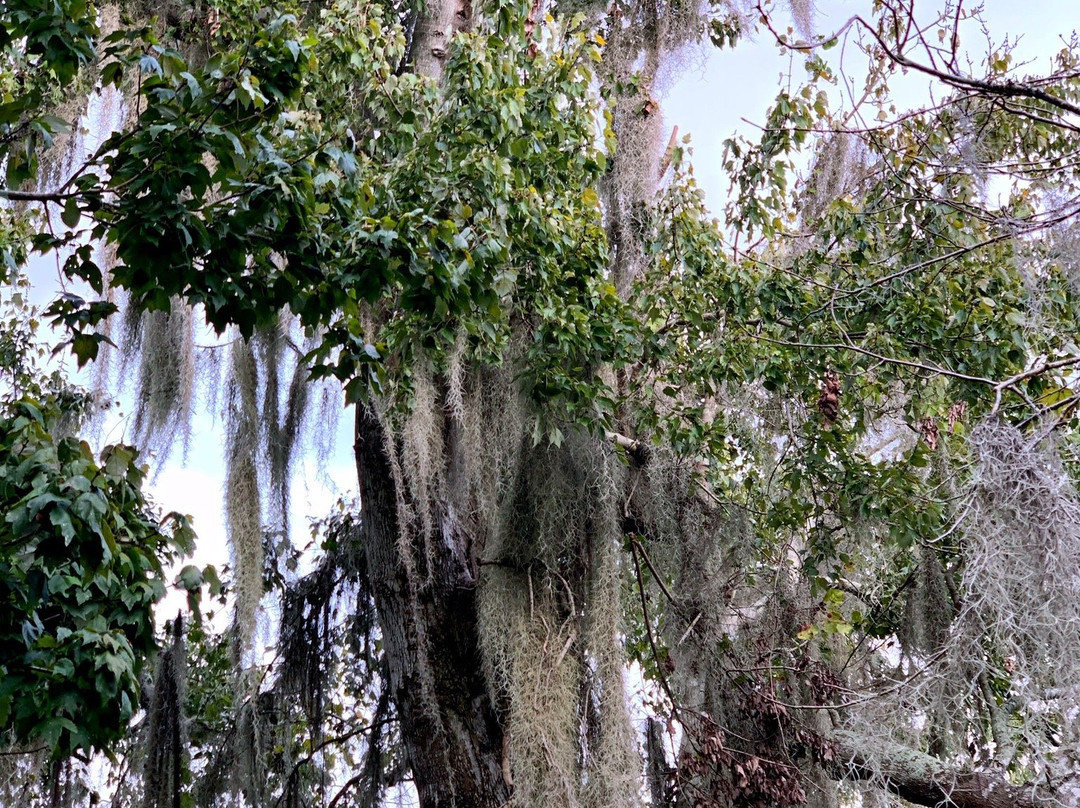 Sawgrass Lake Park景点图片