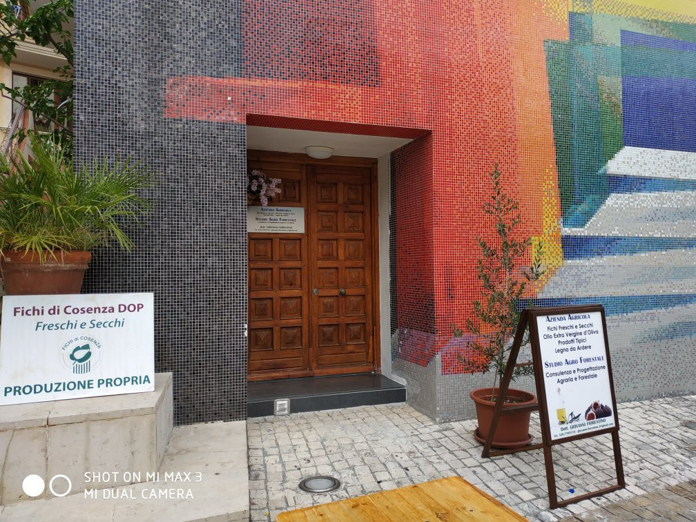 Azienda Agricola Giovanni Fiorentino景点图片