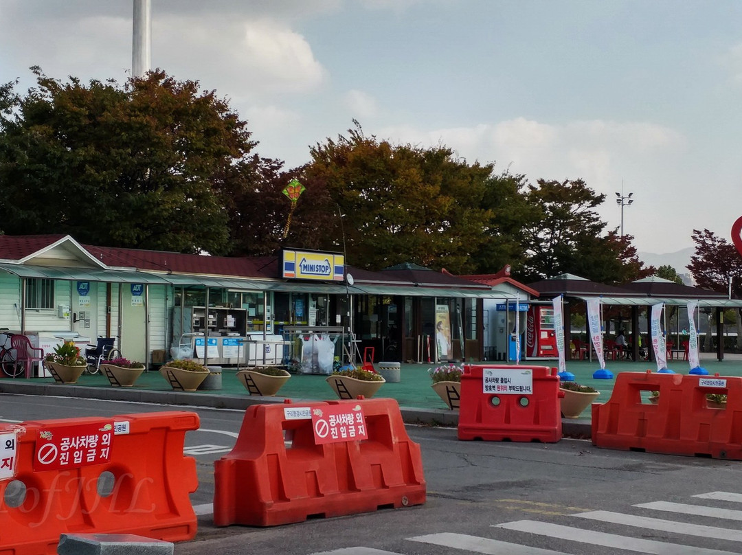 Guri Hangang Park (Cosmos Park)-九里市必去景点