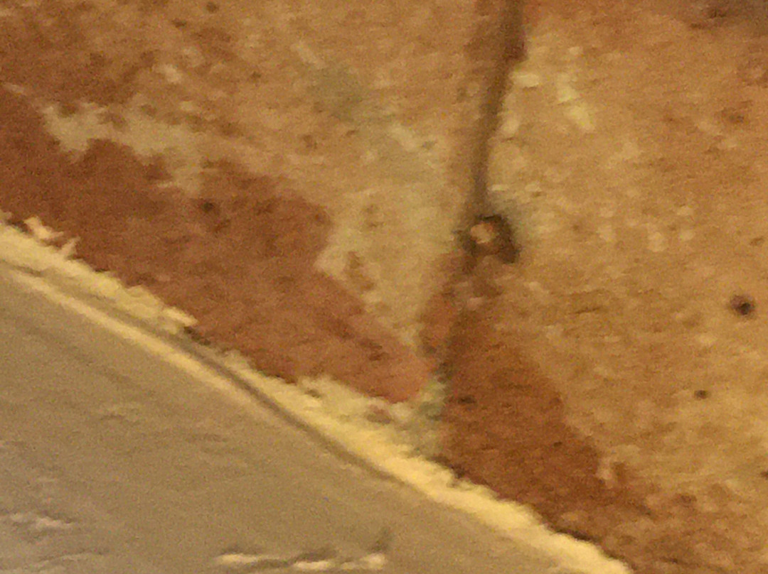 Villa Caltengo主图