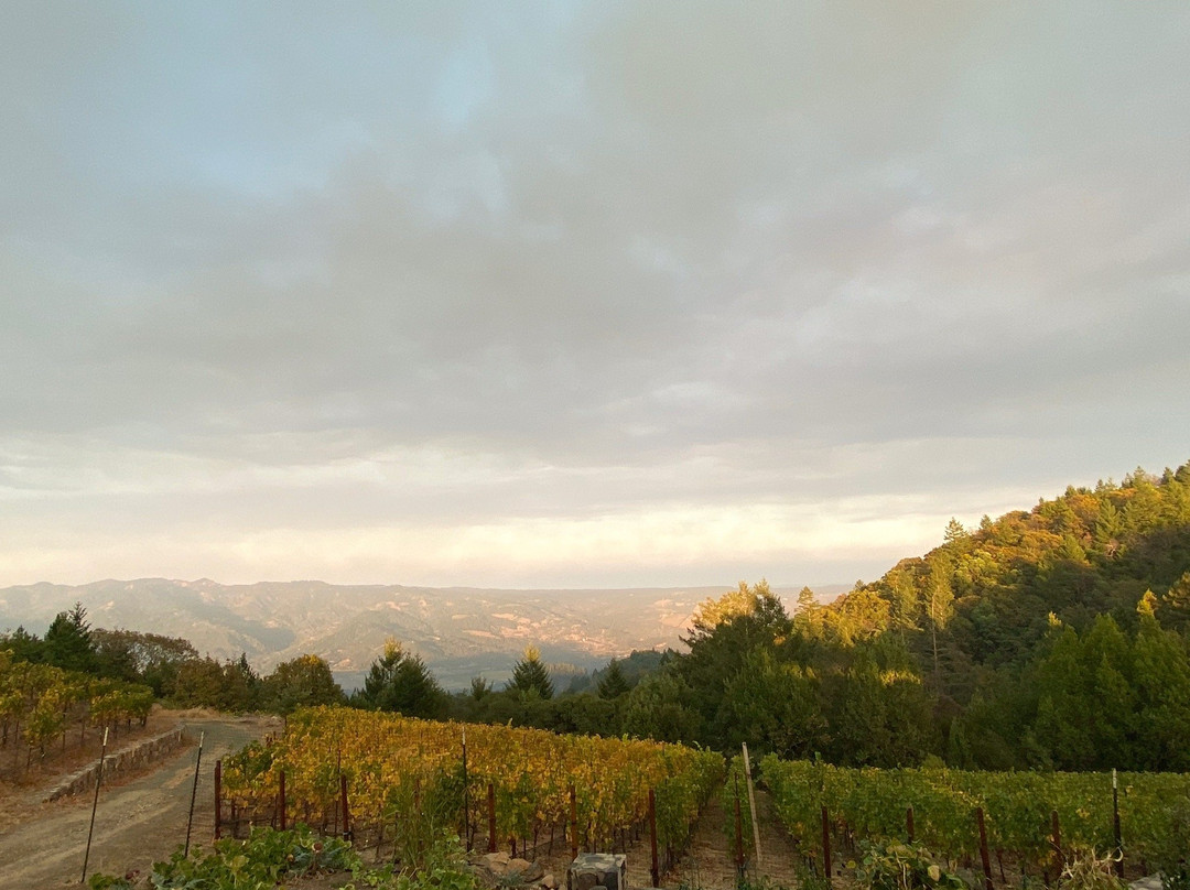 Behrens Family Winery景点图片